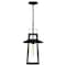 Quoizel Devonport 1-Light Matte Black Outdoor Hanging Lantern DEV1910MBK - alternate 2